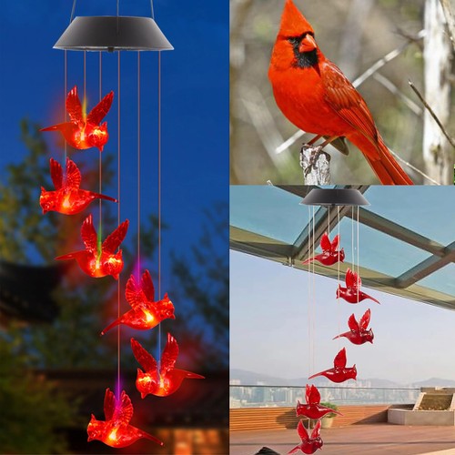 Solar cardinal wind - solar,