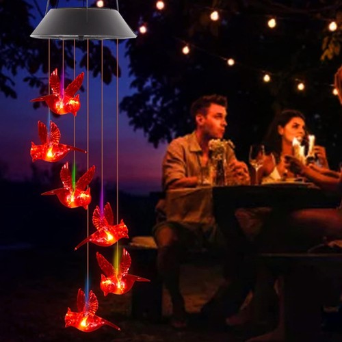 Crisp sound cardinal solar - crisp,